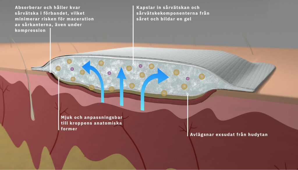 Egenskaper i ett superabsorberande förband, DryMax Soft från Absorbest.