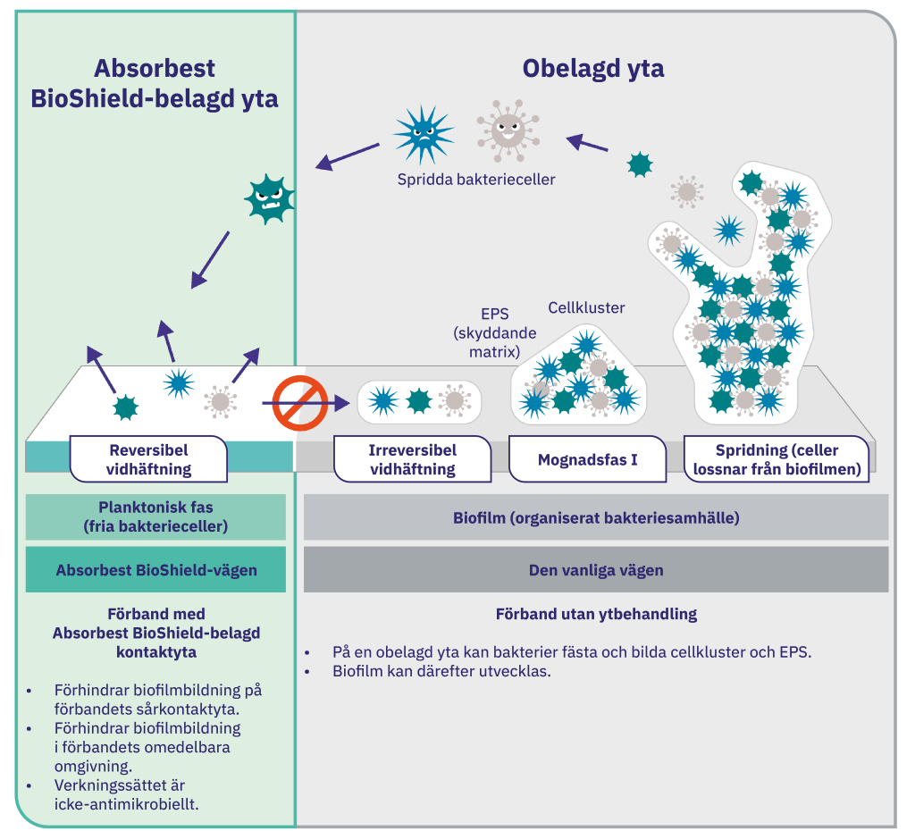 breaking-the-biofilm-cycle